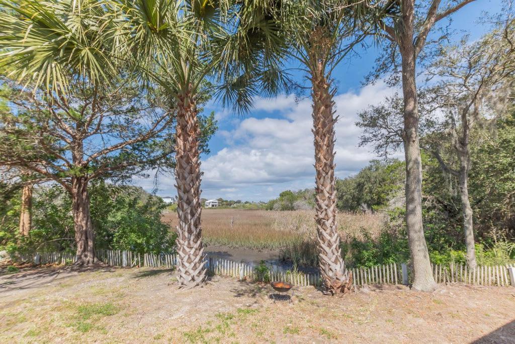 Marsh Front Birders Paradise Close To Beaches And Downtown St. Augustine Luaran gambar